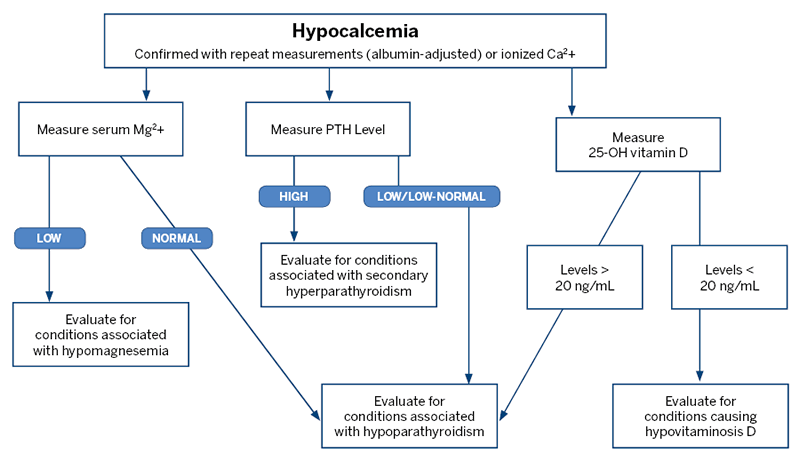 Hypokalemia Differential Diagnosis Algorithm Using Grepmed My Xxx Hot Girl 